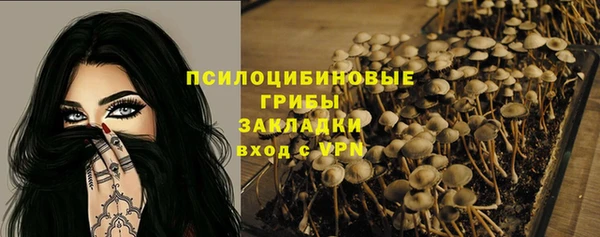 Альфа ПВП Нефтекумск