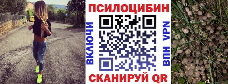 Псилоцибиновые грибы Psilocybine cubensis  Новоаннинский 